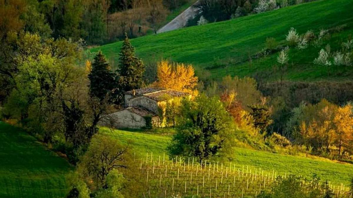 Roncofreddo, sentenza del Tar mette in crisi azienda agricola