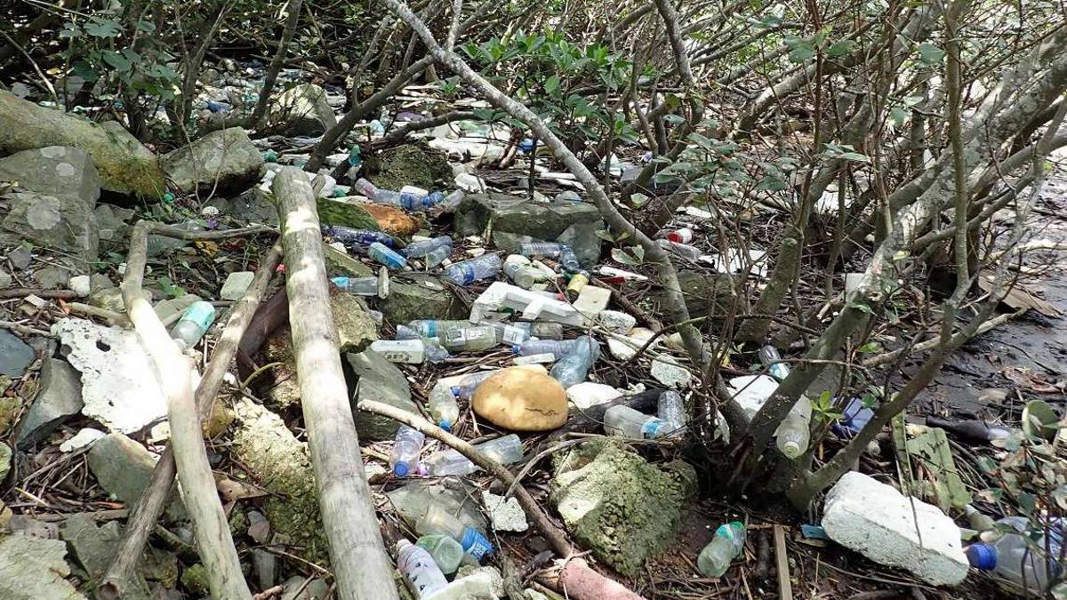 La plastica all’interno dei pesci è superiore a quella in acqua