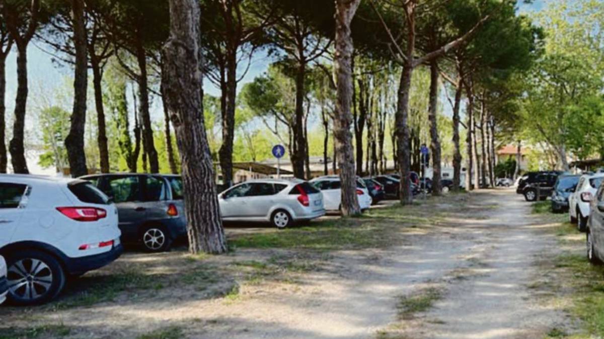 Cesenatico, corsa caotica al mare riduce la pineta a un parcheggio
