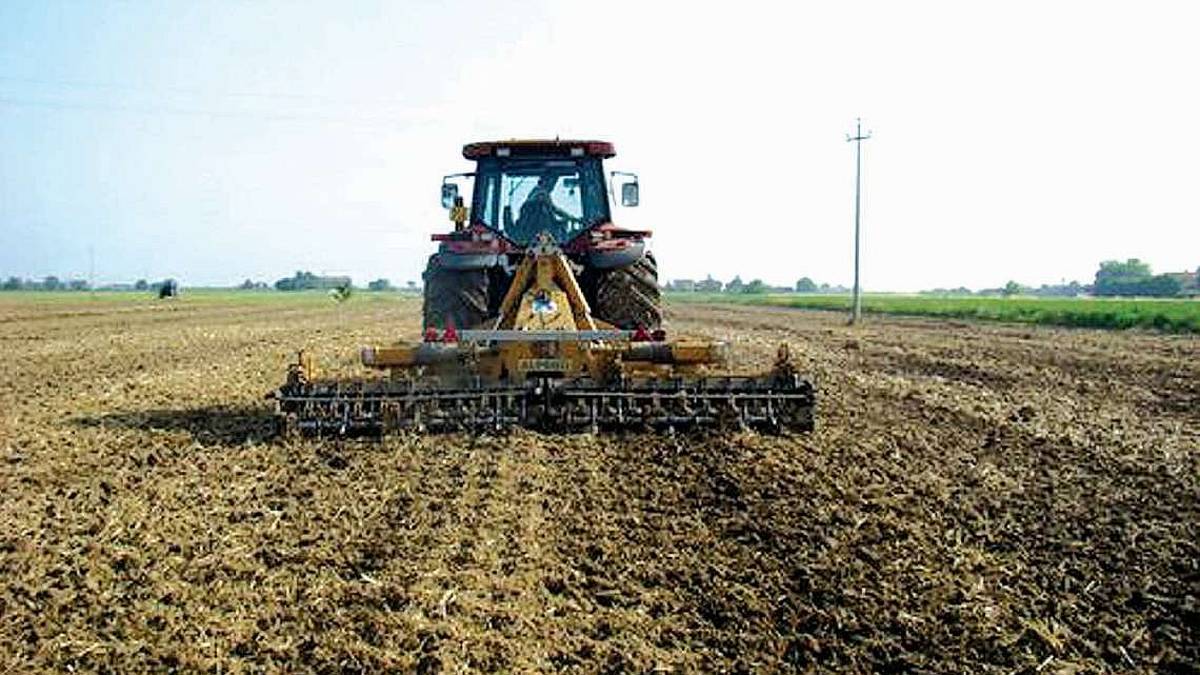 L’accesso alla terra per giovani agricoltori diventi una priorità