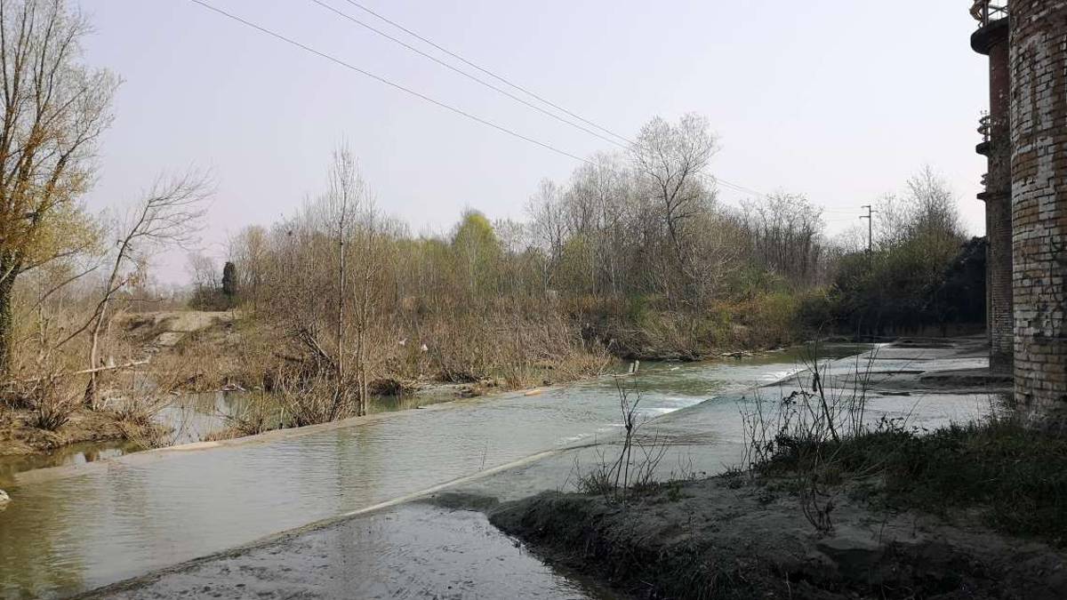 Autodromo di Imola, il polmone verde comincia a prendere forma
