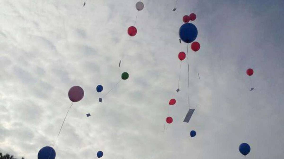 Guerra al lancio dei palloncini: inquinano e uccidono gli animali