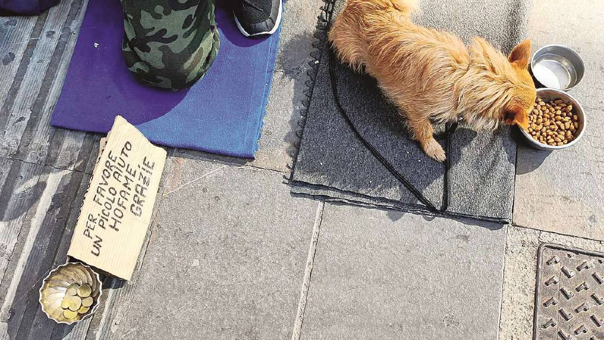 Rimini. Picchia il suo cane, denunciato senzatetto