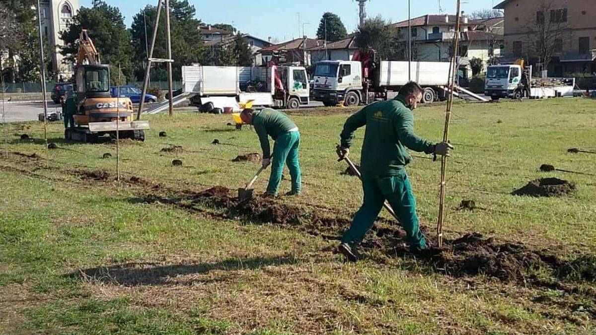 La Romagna diventa più verde: primo passo con 130mila piante