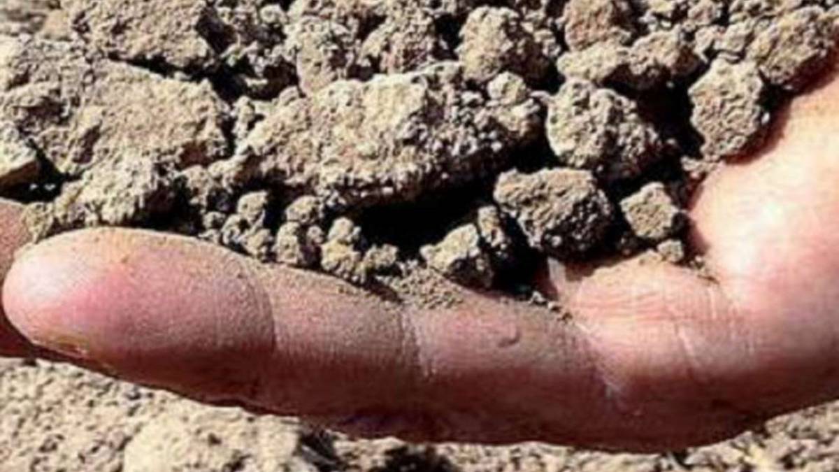 Emergenza siccità: a Rimini scattano limitazioni e divieti