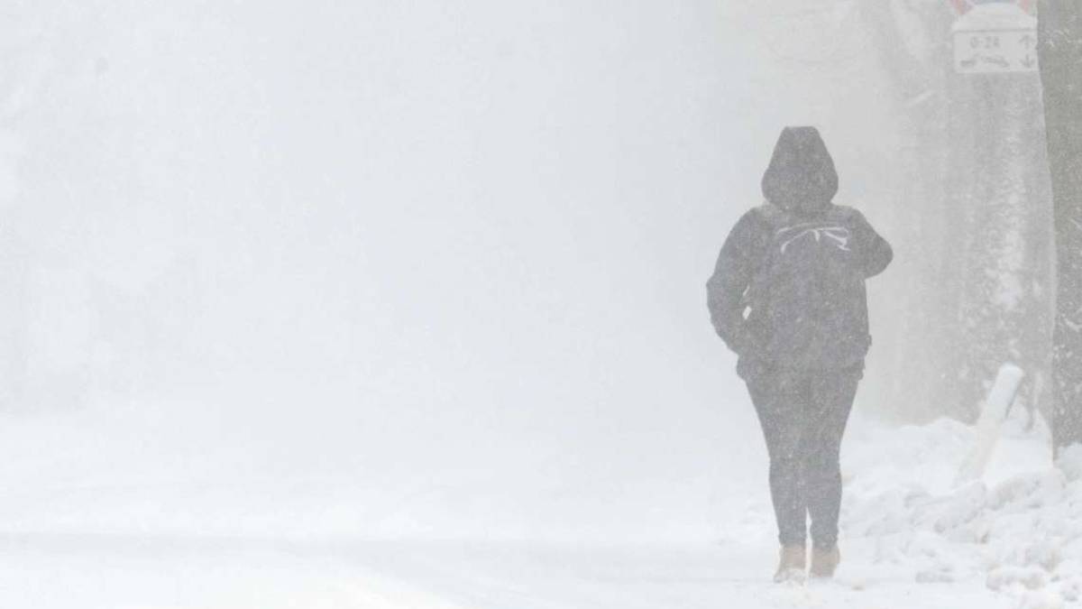 Alfonsine a -23 gradi sotto zero: storia di 38 anni fa