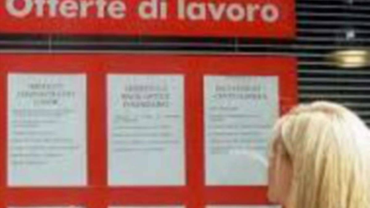 Lavoro, impennata di offerte a dicembre tra Cesena e Forlì