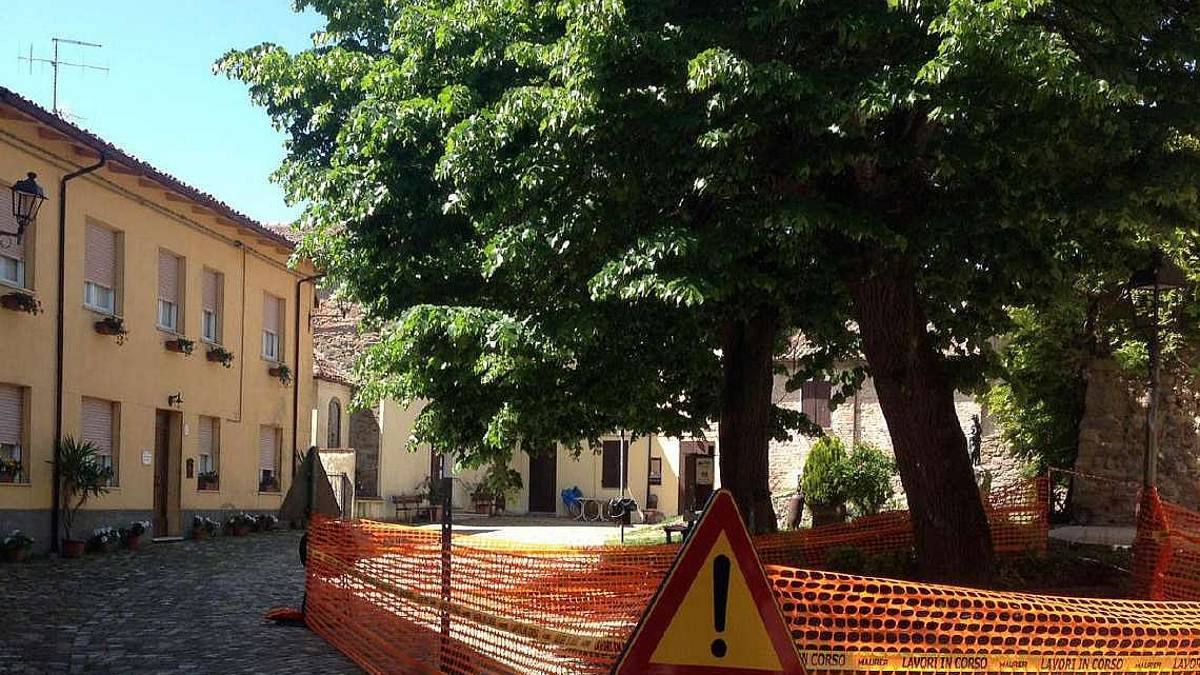 Tiglio da tagliare, scoppia il caso a Monteleone