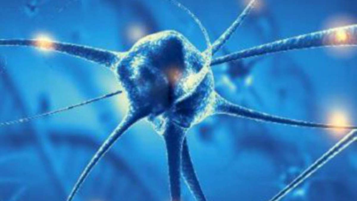 Sclerosi multipla, un trapianto delle staminali per forme gravi