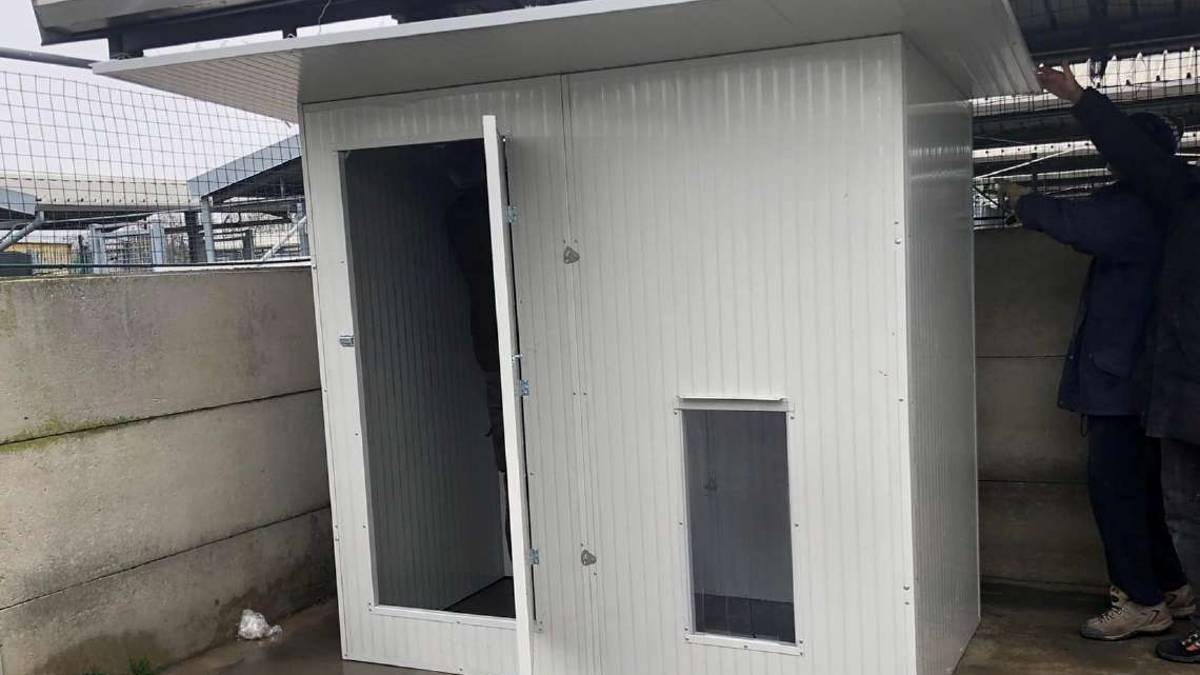 Imola, gestione prorogata e nuovi box per il canile-gattile