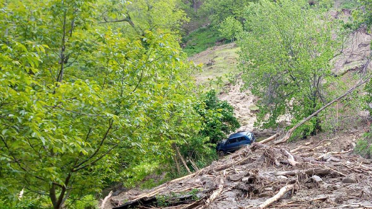 Castel del Rio, anche i castagneti secolari travolti dalle frane