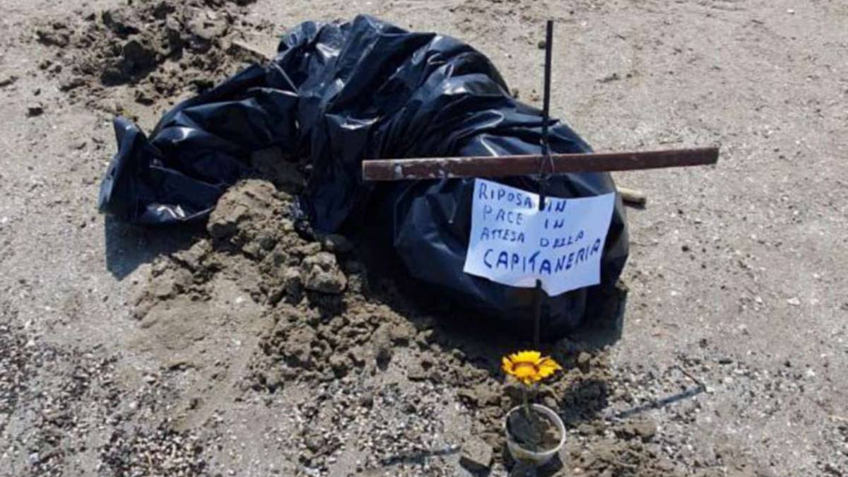 Pinarella di Cervia, dal mare spunta una testa di maiale: un bagnante la copre e lascia un fiore
