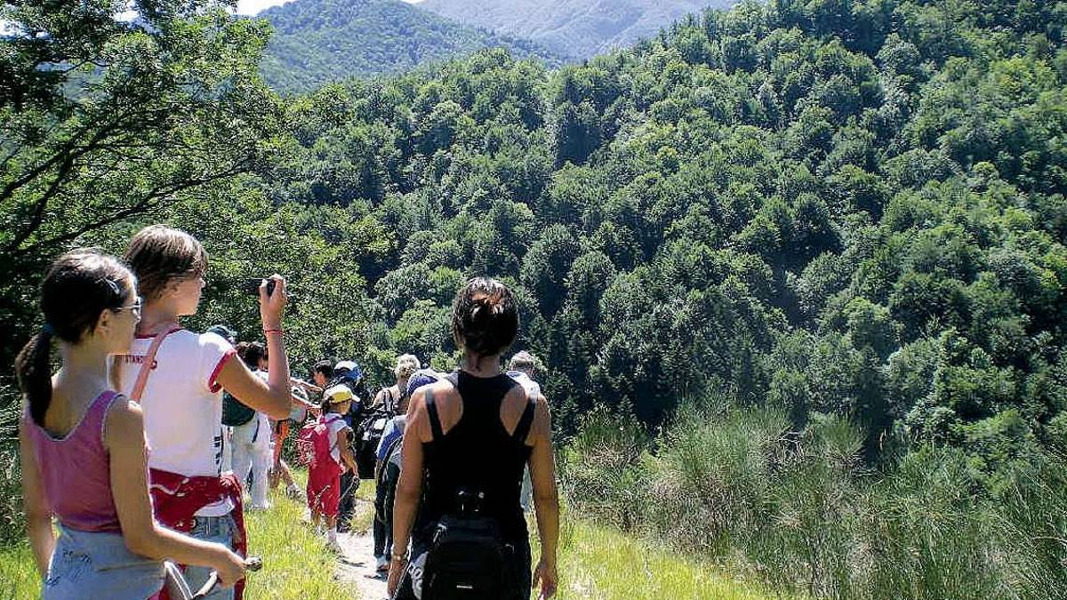 Santa Sofia, in migliaia nel Parco
