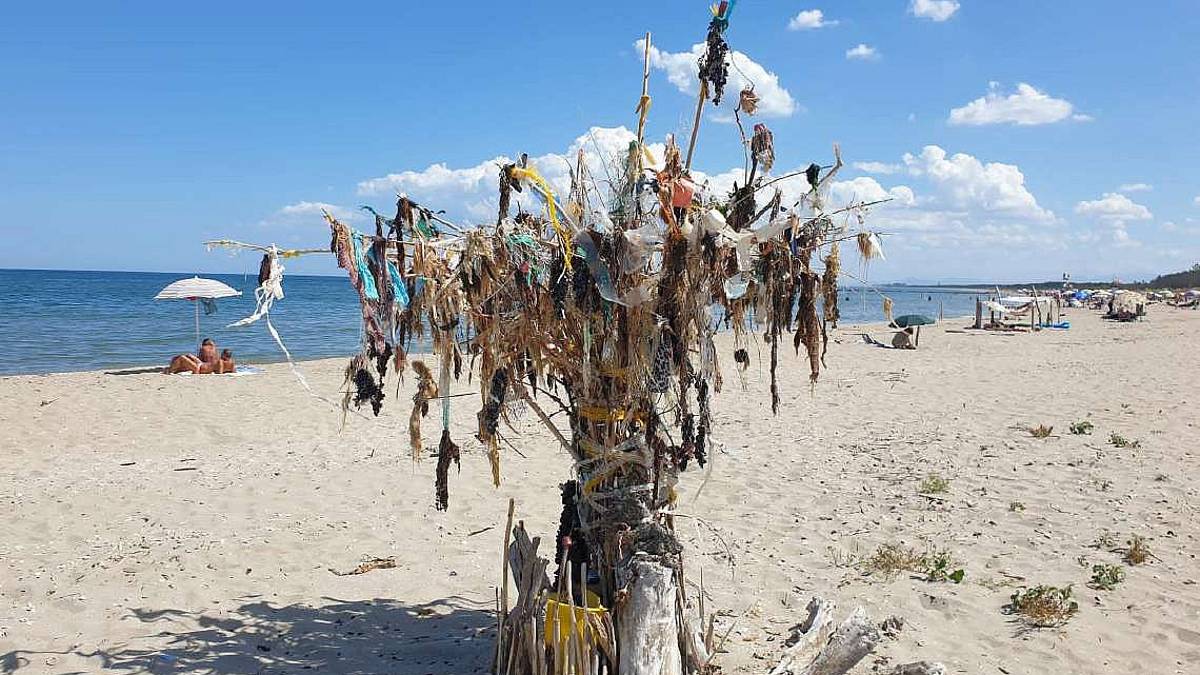 Ravenna, d'arte green al mare: l'albero dei rifiuti e alghero