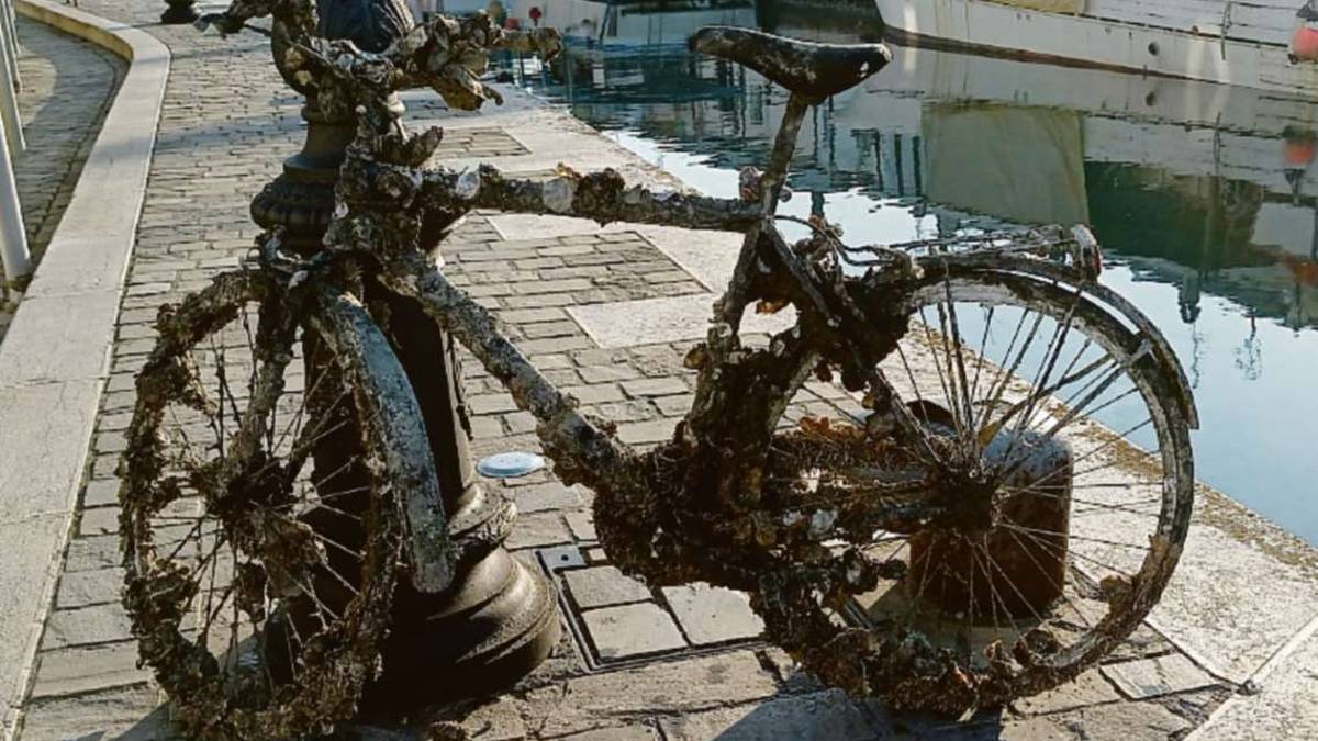 Cesenatico, bici ripescata dopo anni dal porto canale