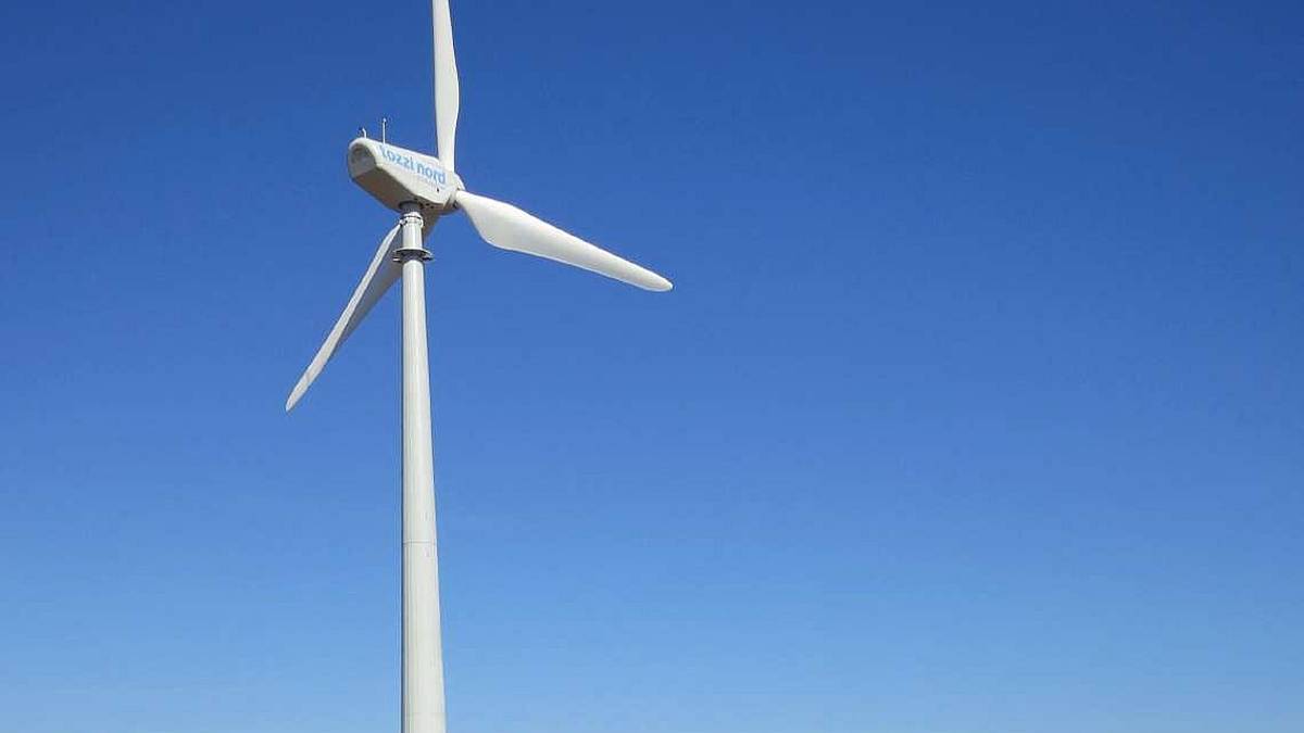 Aziende, chi ha puntato sul green ha reagito meglio alla pandemia