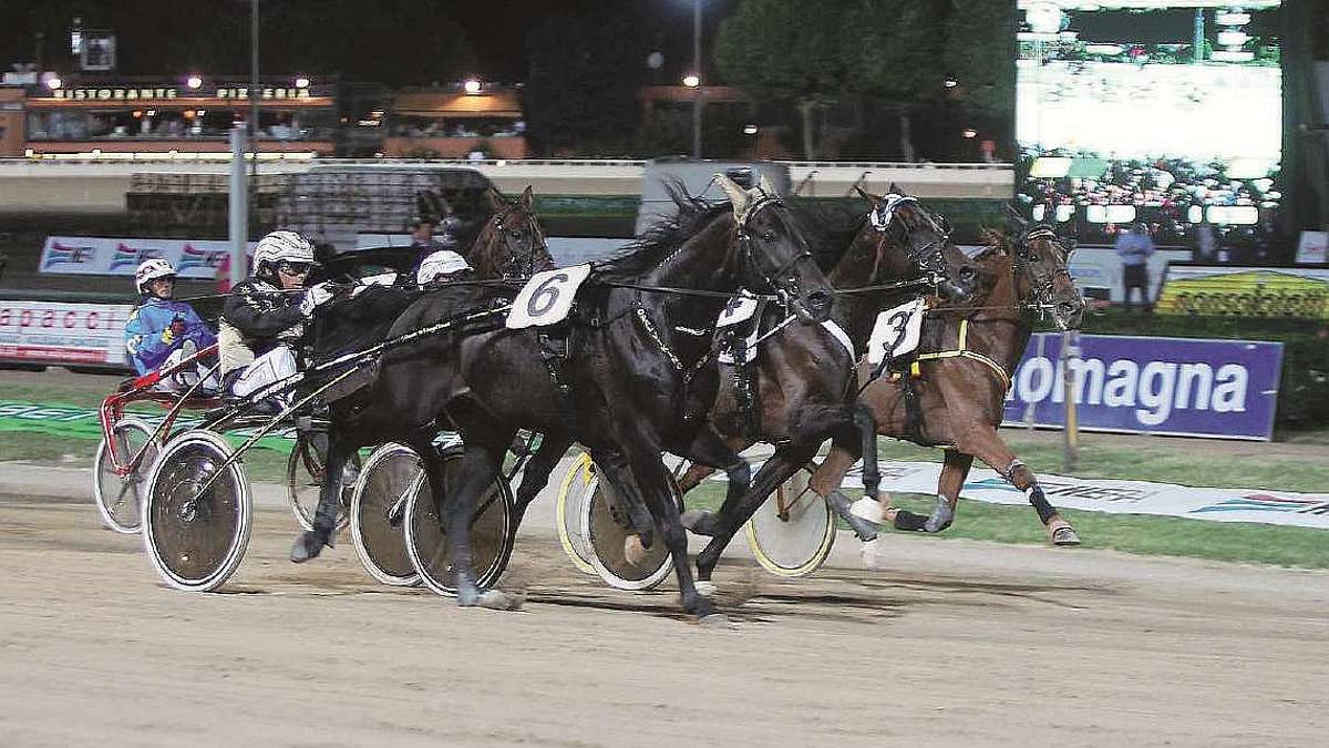 Cesena, cavallo morto, la replica dell'ippodromo: Tragedia che può capitare anche agli umani