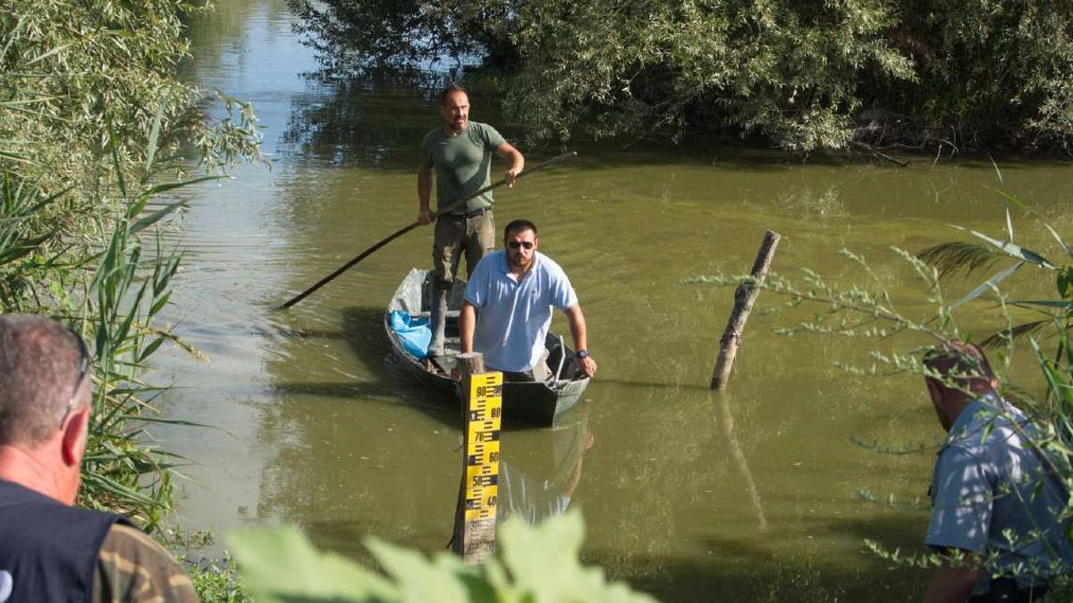 Ravenna, primi volatili con botulino nella valle Mandriole