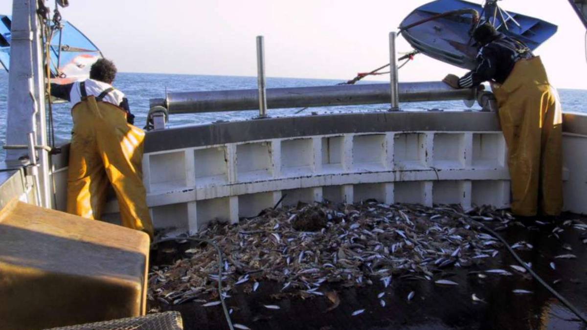 Rimini, pescherecci in rivolta contro il taglio della pesca a strascico