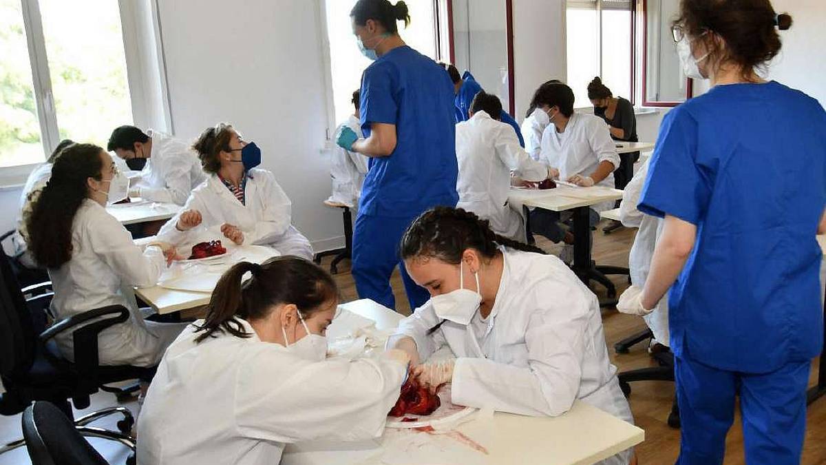 Facoltà di Medicina, in arrivo le nuove matricole