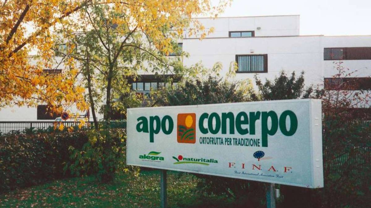 In&Out: il progetto per comunicare la filiera sostenibile