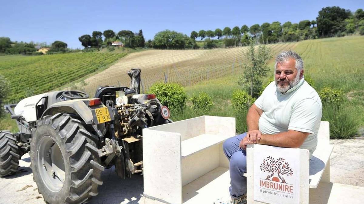 Pic nic tra gli ulivi: a Rio Marano le serate raddoppiano
