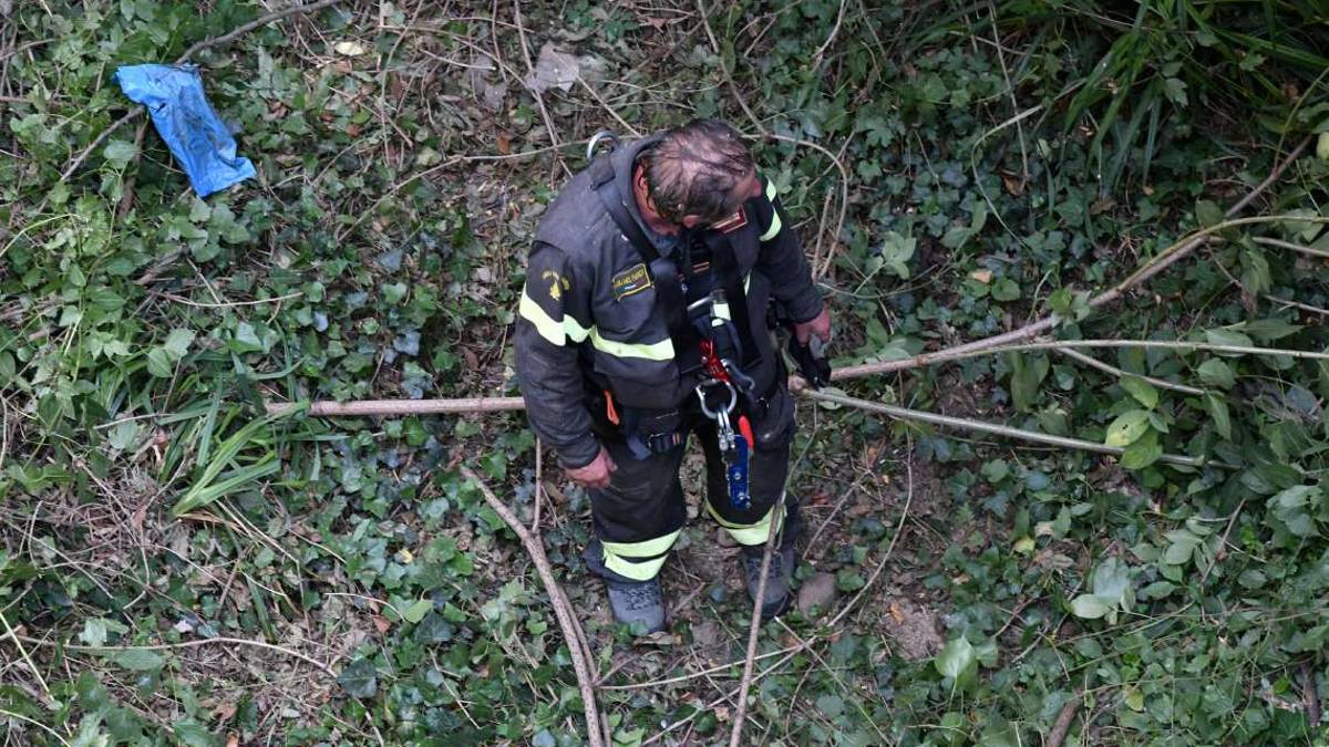 Forlì, omicidio Severi: sotto la lente la pistola ammazzabuoi del fratello Daniele