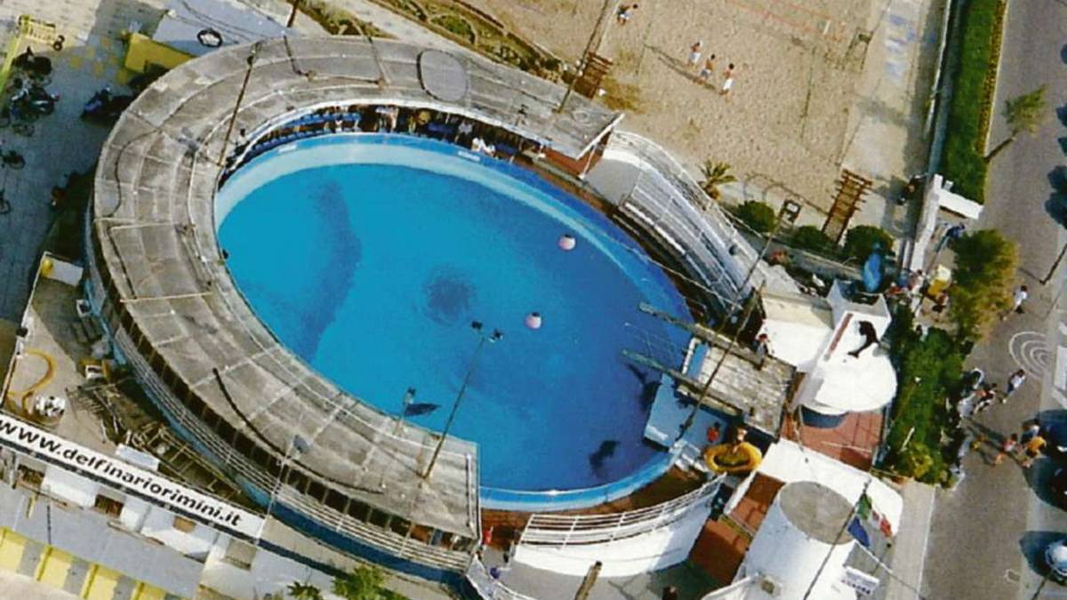 Rimini. L'ex delfinario nuova casa delle tartarughe