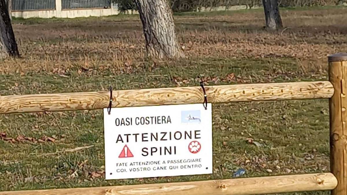 Cesenatico, cartelli per avvisare degli spini nell'area verde