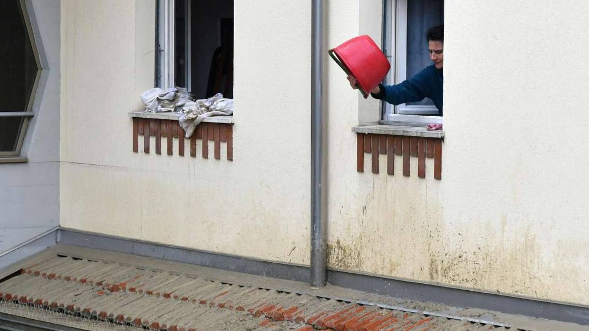 Alluvione a Forlì e muri bagnati, il patologo edile: Ecco cosa fare