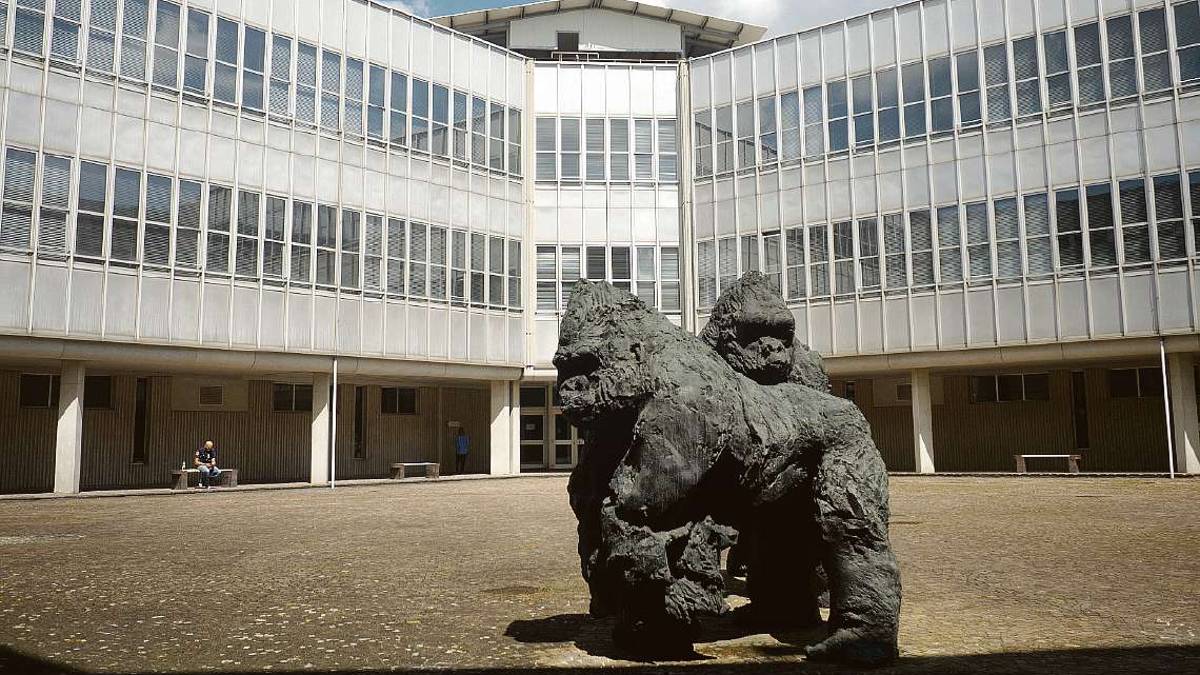 Ravenna, truffa sull'asta immobiliare: agenzia e finto avvocato nei guai