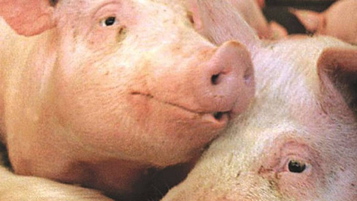 Un patto Coldiretti-Regioni per il taglio delle polveri sottili