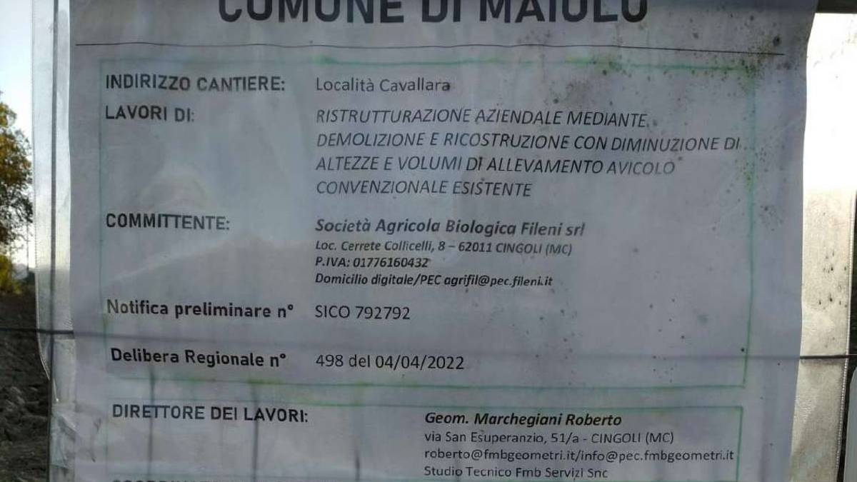 Novafeltria, maxi allevamento di polli: Quale impatto avrà?