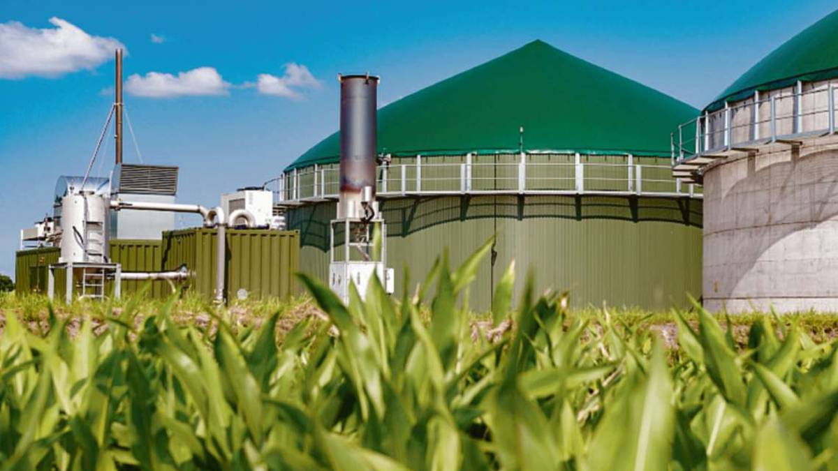 Ravenna, Biogas, la Rosetti Marino decuplica il fatturato in tre anni: da 2 a 20 milioni