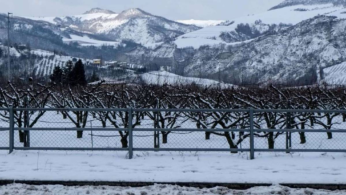 Le ondate di freddo pungente causate dal riscaldamento globale