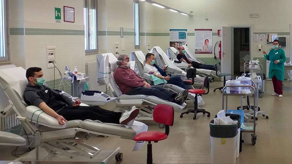Imola, forte crescita di donatori all'Avis