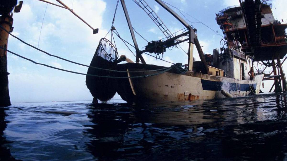 Pesca e Adriatico. Le decisioni per restare il mare più generoso