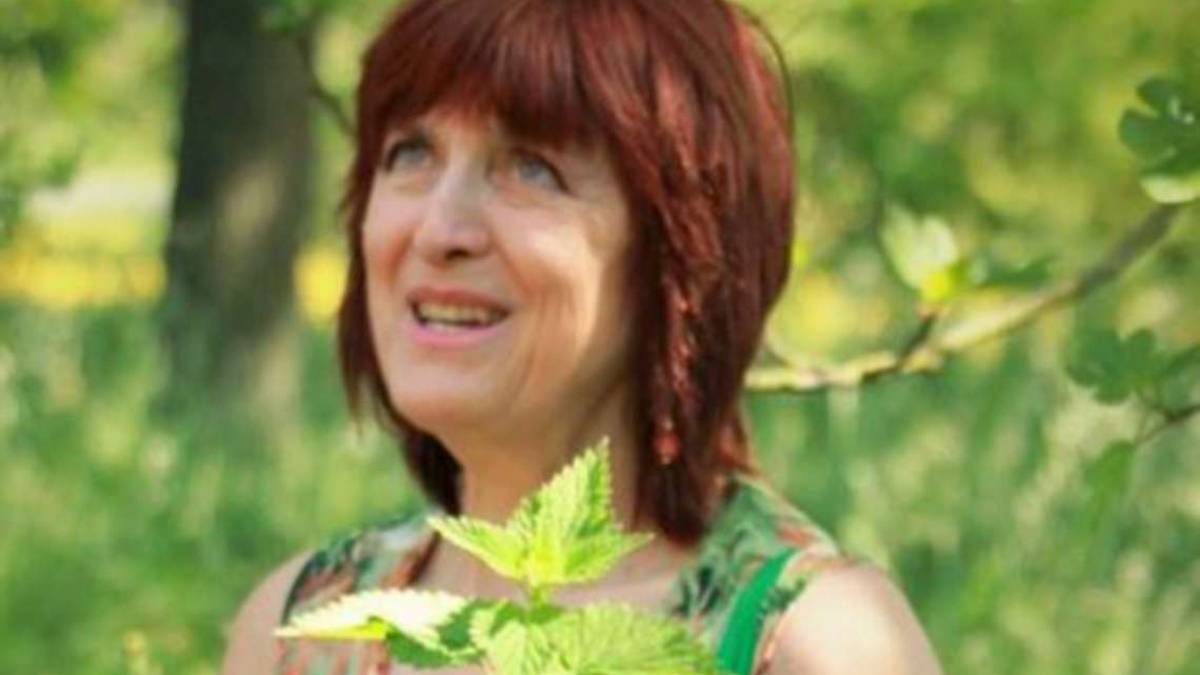L'alfabeto naturale delle erbe aromatiche