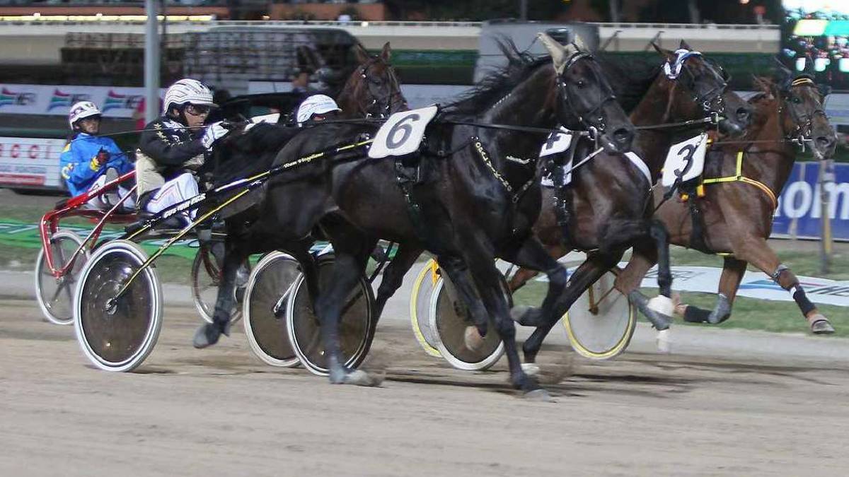 Ippica, All About Bi cerca il poker al Savio