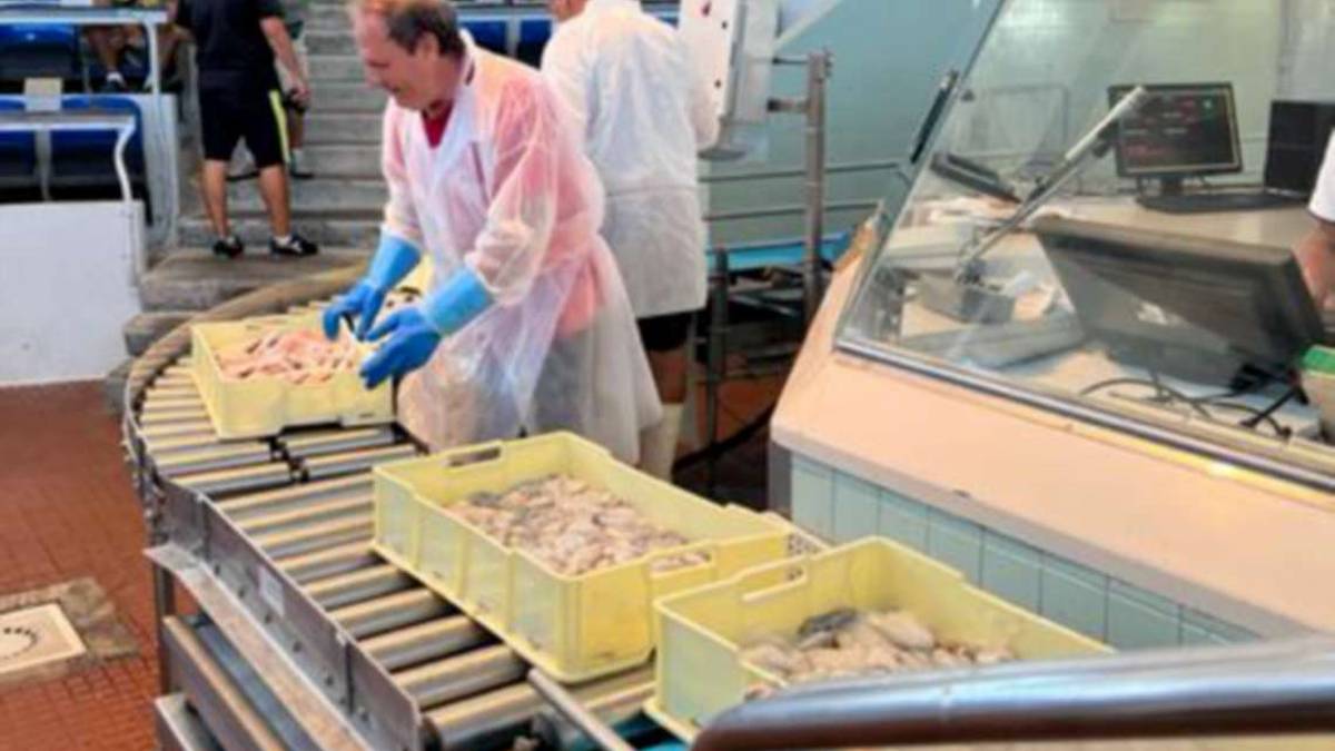 Mercato ittico di Cesenatico, in calo pesce venduto e fatturato