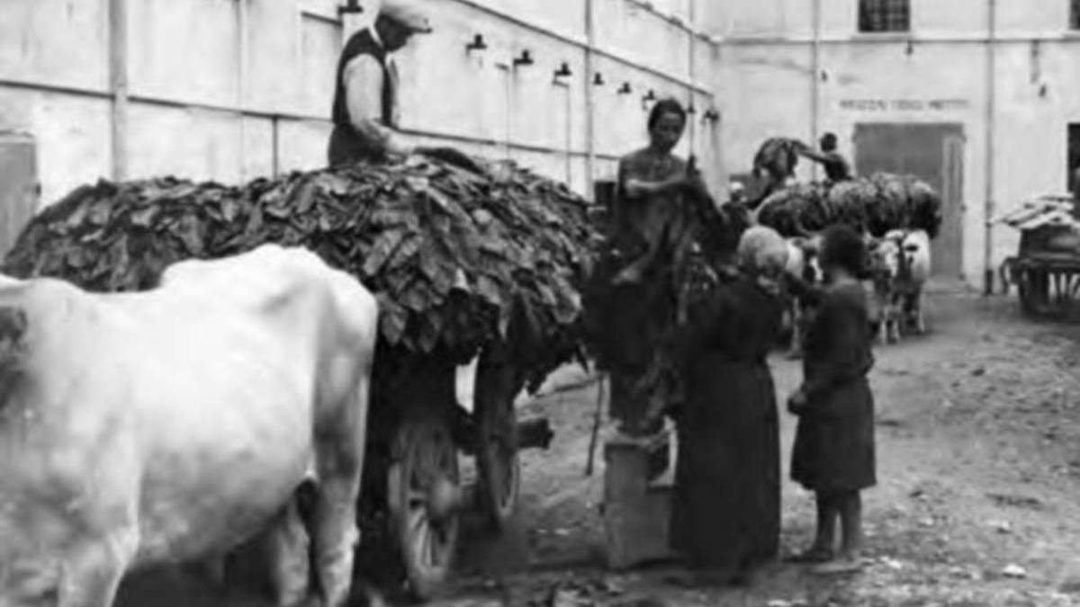 Cesena, il lavoro in Romagna secondo Urbini e Teodorani