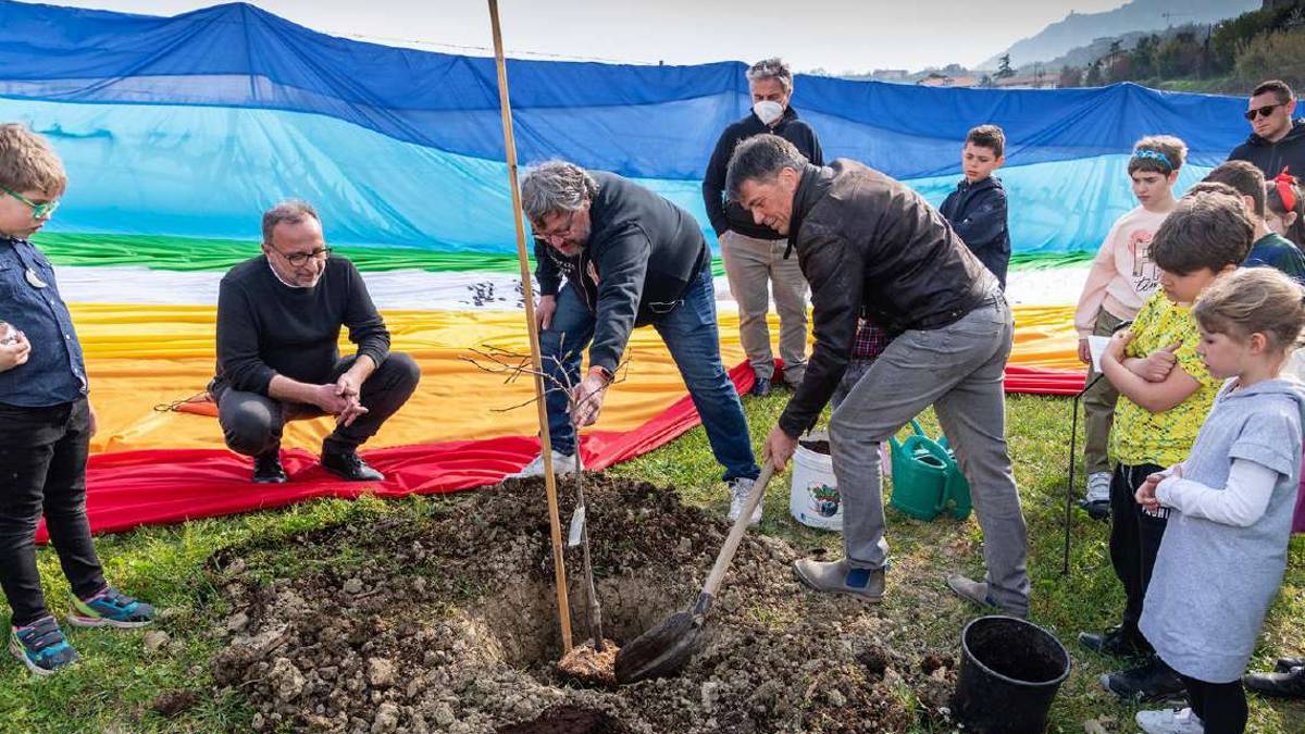 La pace è rinnovabile: ecco gli alberi “per il dialogo”