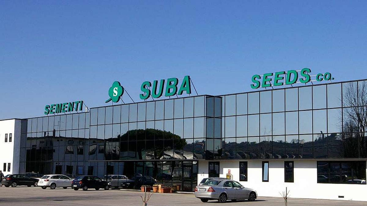 Longiano: i tamponi al posto del green pass ora li paga l'azienda