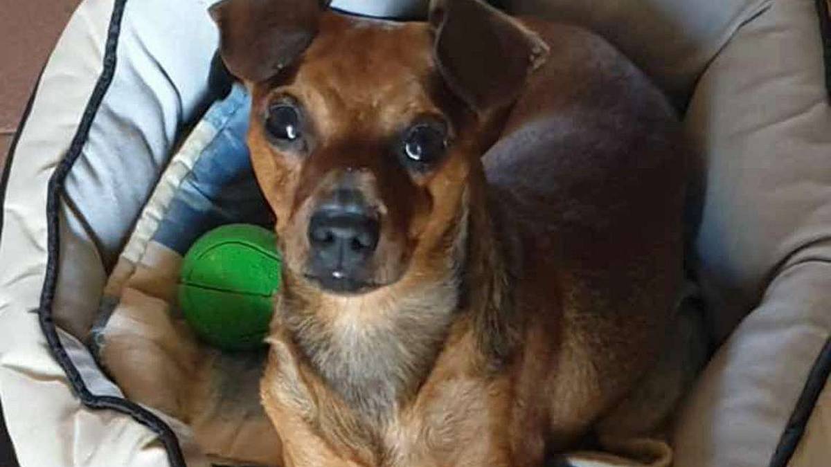 Una chiamata per Benny