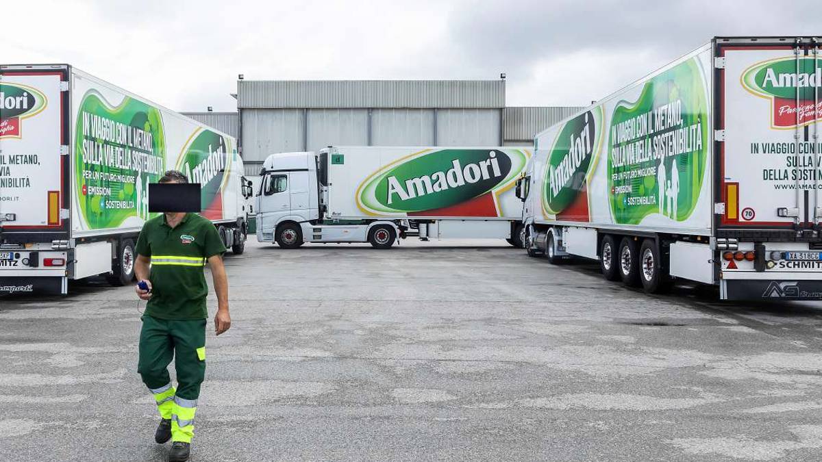 Furto di pallet da Amadori: 3 denunciati e un licenziato