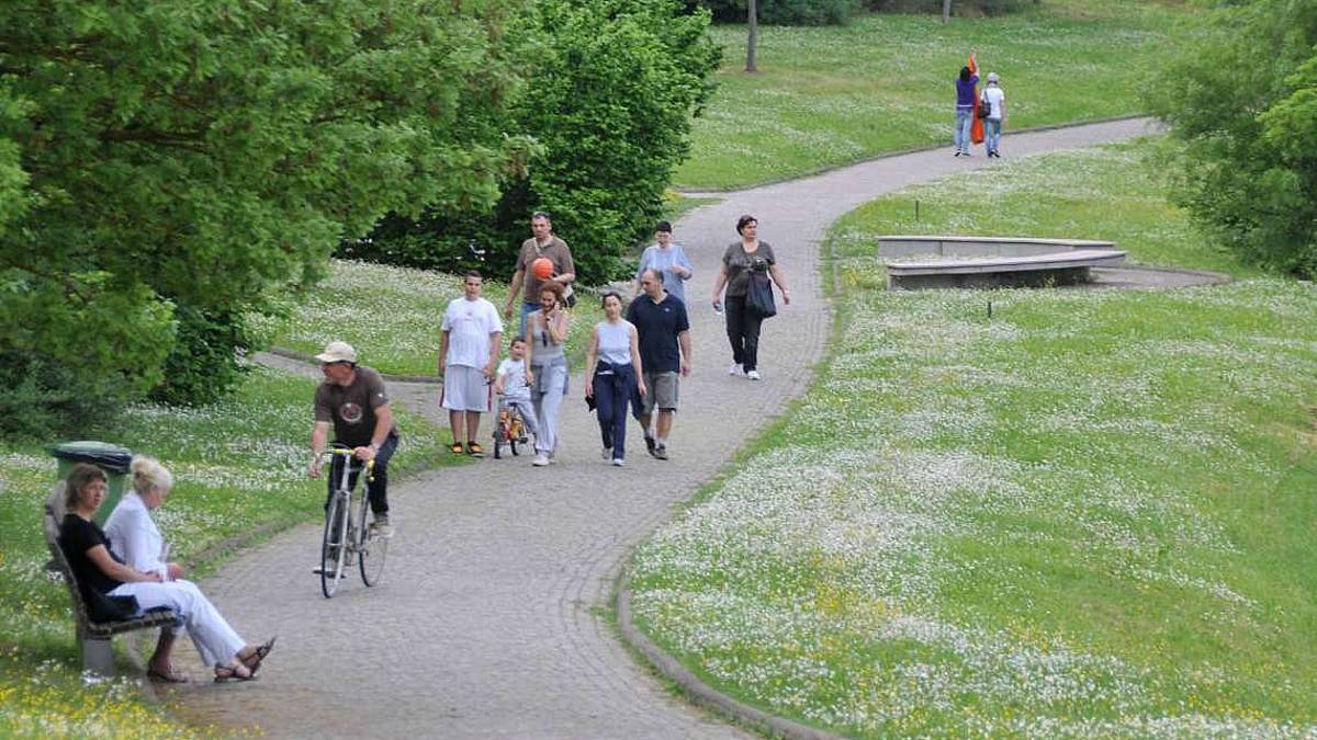 Forlì, guardie per sorvegliare i parchi