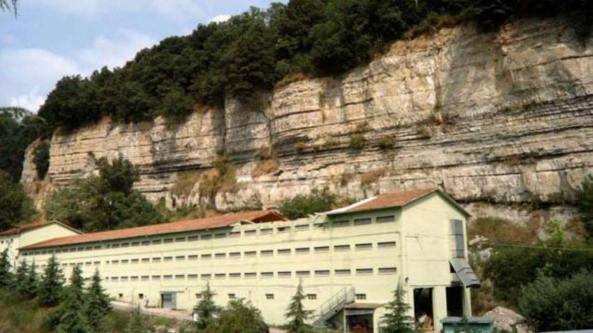 Altre beghe legali per il Comune di Mercato per i polli