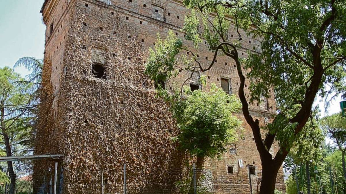 Cesena, palazzaccio: lavori anti-crolli ma il comitato vuole di più