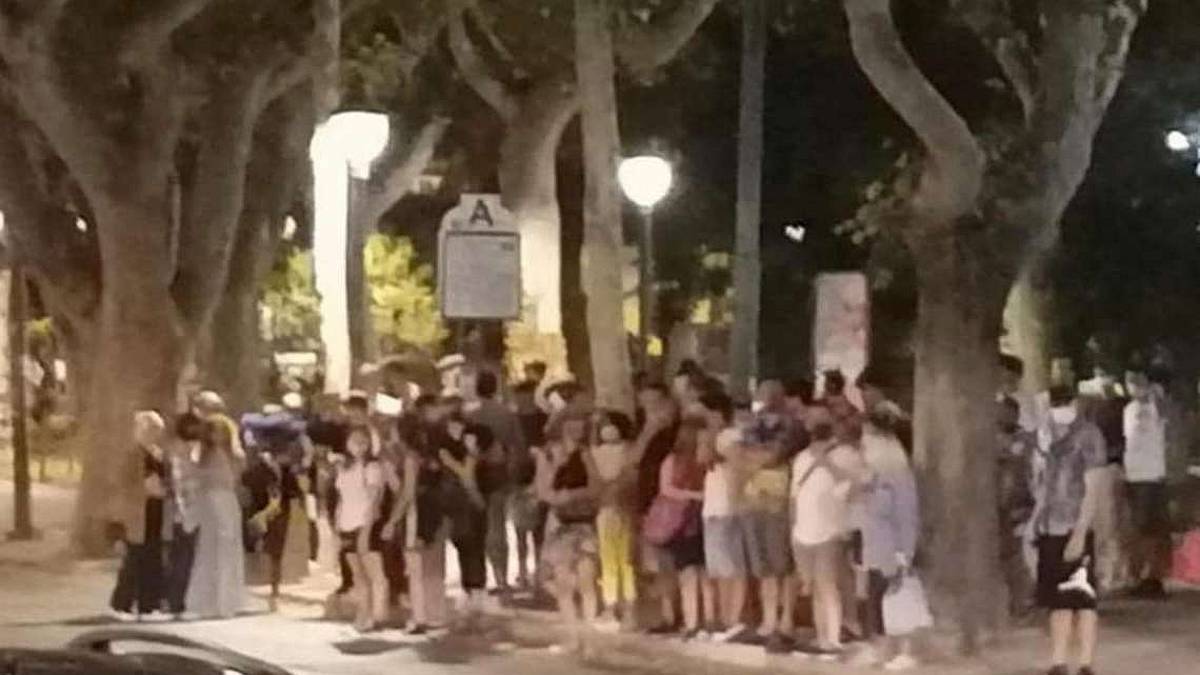 Notte rosa, caos autobus. Il Comune vuole vederci chiaro