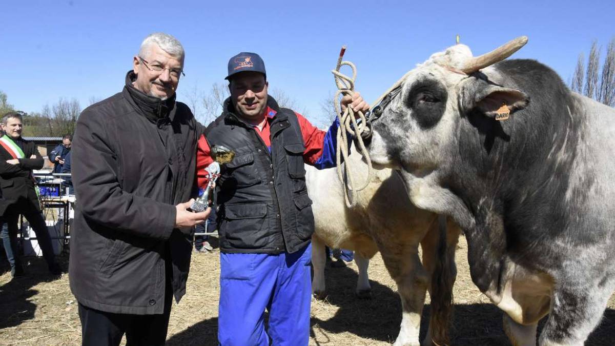 Morciano, torna la Fiera di San Gregorio
